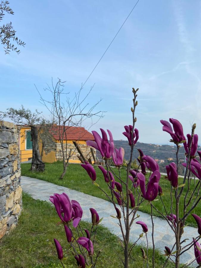 קמוגלי Sunrise Holiday Home מראה חיצוני תמונה